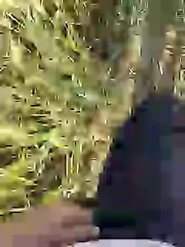 ThethunderPo online show from 03/18/25, 02:36