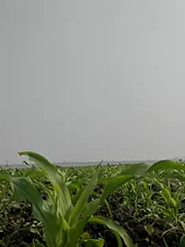 ThethunderPo online show from 02/03/26, 06:51