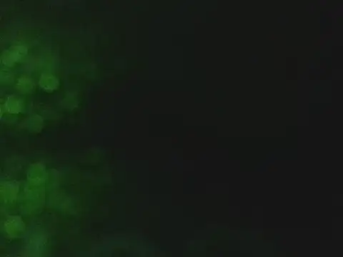 Snapshot of lonelycock33 chatting on 11/07/25, 09:48 lonelycock33 online show from 11/07/25, 09:48