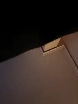 DespisedStallion online show from 11/29/25, 09:01