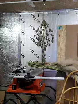 Snapshot of IronedTitan chatting on 12/12/24, 02:26 IronedTitan online show from 12/12/24, 02:26