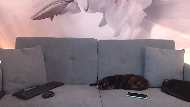 sofiasteven online show from 03/13/26, 11:44