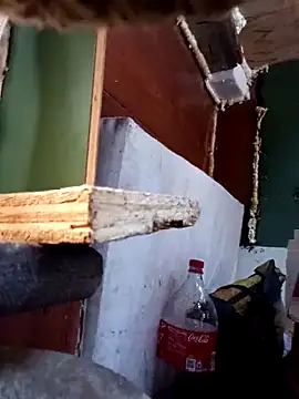 Serapitocojelon online show from 10/28/25, 09:17