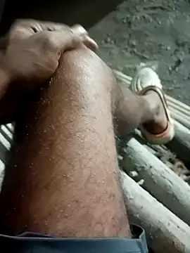 Bengali BULL1 online show from 09/30/25, 04:12