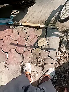 Bengali BULL1 online show from 11/20/25, 04:56