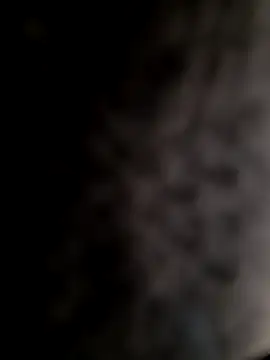 mogli444 online show from 12/08/24, 01:03