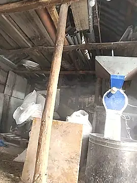 sarpe4 online show from 01/08/26, 07:54