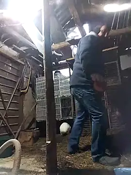 sarpe4 online show from 02/21/26, 05:19