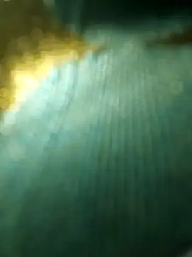 salonidesimaal online show from 12/04/24, 10:02