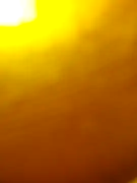 salonidesimaal online show from 02/01/25, 09:43