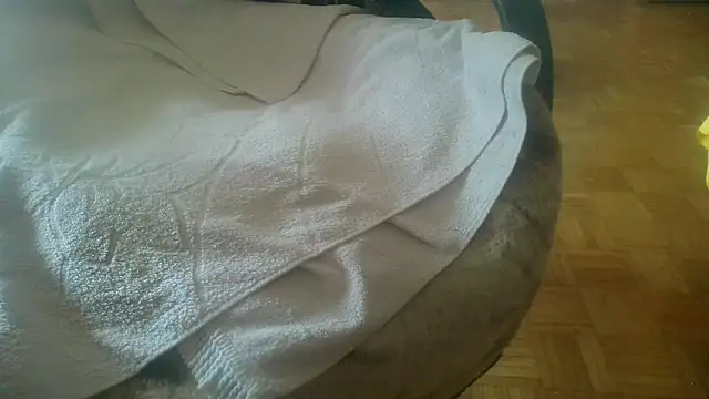 Python43 online show from 02/20/25, 08:39