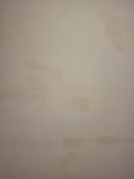 Adivaaa online show from 03/25/26, 11:27