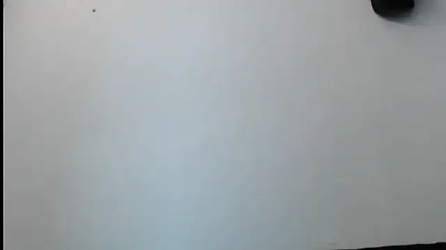 SebastianReiss online show from 02/13/25, 01:29