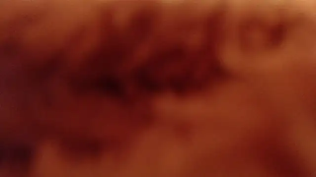 Snapshot of larawet chatting on 01/04/25, 11:17 larawet online show from 01/04/25, 11:17