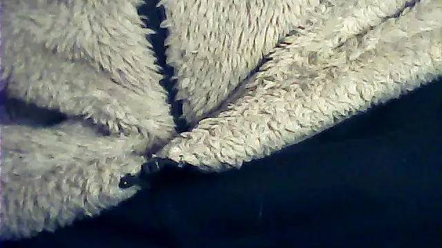 kalinixta online show from 01/06/26, 06:44