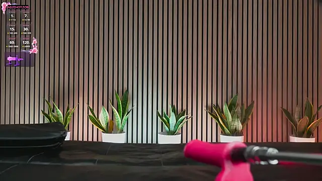 NiceHotJob online show from 02/03/25, 07:00