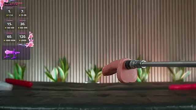 NiceHotJob online show from 03/04/25, 09:54