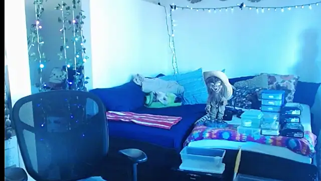 mycock2474u online show from 02/25/25, 03:38