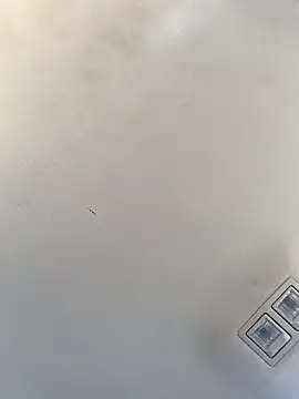 Tristris100 online show from 12/23/24, 08:14