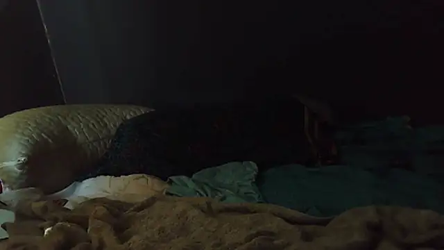 k-dong online show from 02/01/26, 04:49