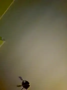 NiceHunter89 online show from 01/12/25, 01:11