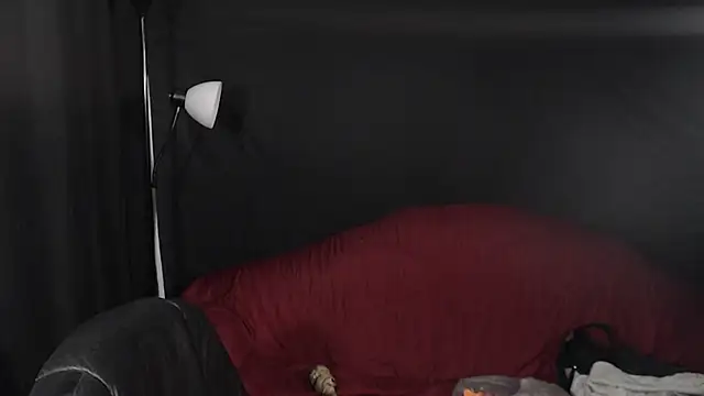 Snapshot of Metalstud chatting on 12/29/24, 12:09 Metalstud online show from 12/29/24, 12:09