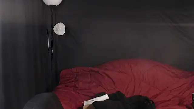 Snapshot of Metalstud chatting on 01/21/25, 10:41 Metalstud online show from 01/21/25, 10:41