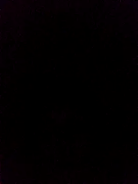 rus333 online show from 12/19/24, 01:18