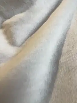 Aestheticsgirl online show from 03/03/26, 07:47