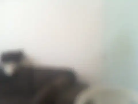 Snapshot of ConradinhoBR50 chatting on 04/19/26, 02:27 ConradinhoBR50 online show from 04/19/26, 02:27