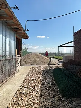 SabinaSweety online show from 04/10/26, 12:43