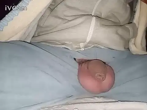 Snapshot of Bigdick666cm chatting on 01/28/25, 03:04 Bigdick666cm online show from 01/28/25, 03:04