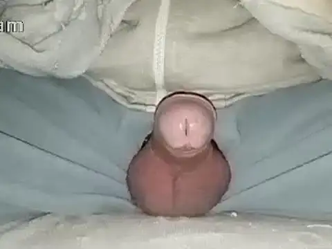 Snapshot of Bigdick666cm chatting on 01/31/25, 06:47 Bigdick666cm online show from 01/31/25, 06:47