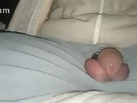 Snapshot of Bigdick666cm chatting on 02/02/25, 03:43 Bigdick666cm online show from 02/02/25, 03:43