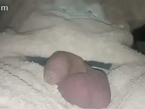 Snapshot of Bigdick666cm chatting on 02/22/25, 03:45 Bigdick666cm online show from 02/22/25, 03:45