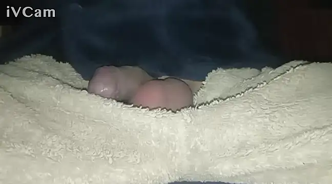 Snapshot of Bigdick666cm chatting on 02/27/25, 03:25 Bigdick666cm online show from 02/27/25, 03:25