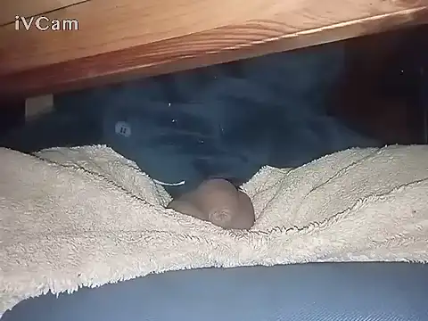 Snapshot of Bigdick666cm chatting on 03/06/25, 03:13 Bigdick666cm online show from 03/06/25, 03:13