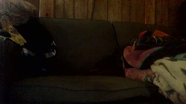 Snapshot of Ryoko_Momoko chatting on 11/01/25, 02:46 Ryoko Momoko online show from 11/01/25, 02:46