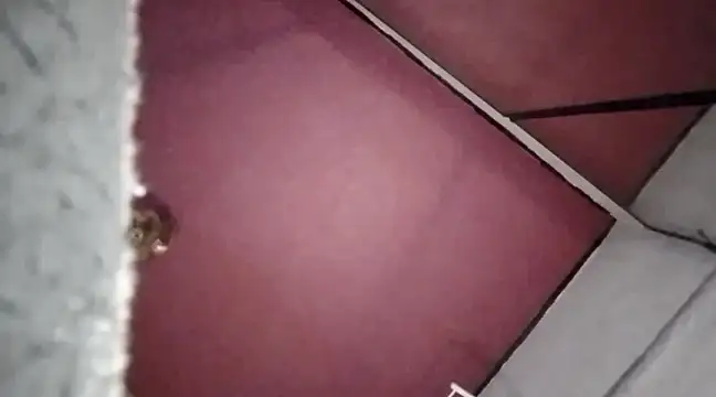 Mariusz38x online show from 12/30/24, 10:34