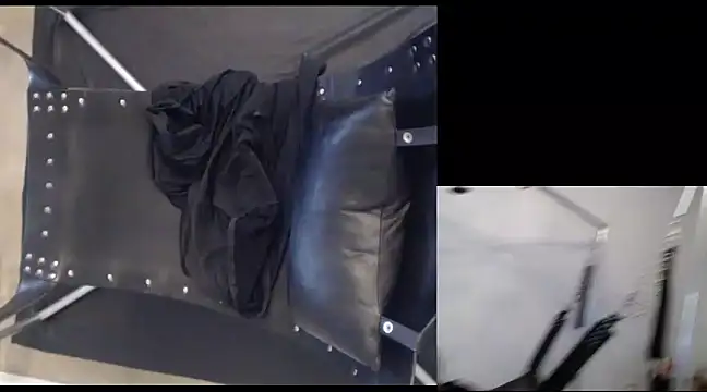 njdbear online show from 12/22/24, 09:53