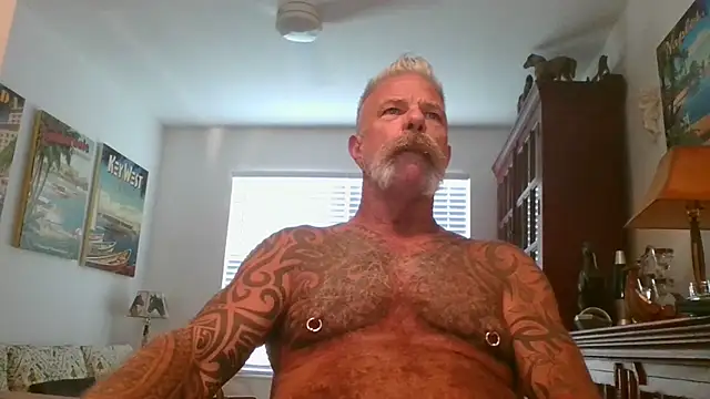 njdbear online show from 11/01/25, 09:17