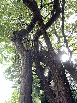 Night dreams online show from 09/20/25, 07:53