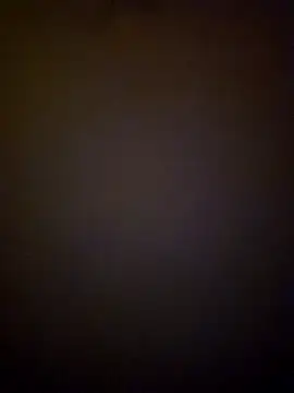 tropikboy online show from 03/19/25, 09:49