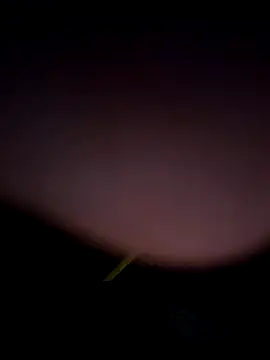 tropikboy online show from 02/25/26, 12:53