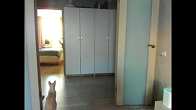 sweeetgirls2021 online show from 12/12/24, 02:04