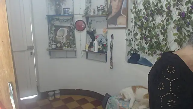 FunnyGrandma online show from 07/12/26, 08:11
