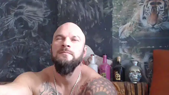 viking 30 online show from 11/18/25, 07:46