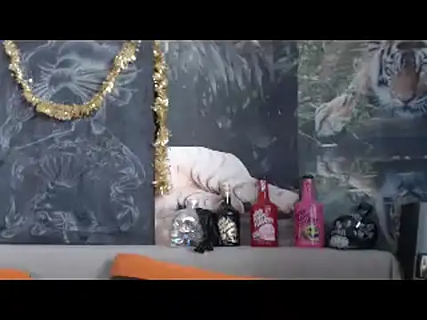 viking 30 online show from 02/20/26, 06:48