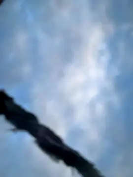 Model9798 online show from 10/22/25, 02:28