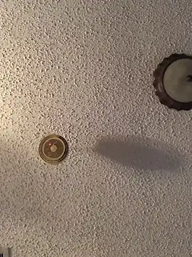 danieldonte online show from 04/23/26, 12:51